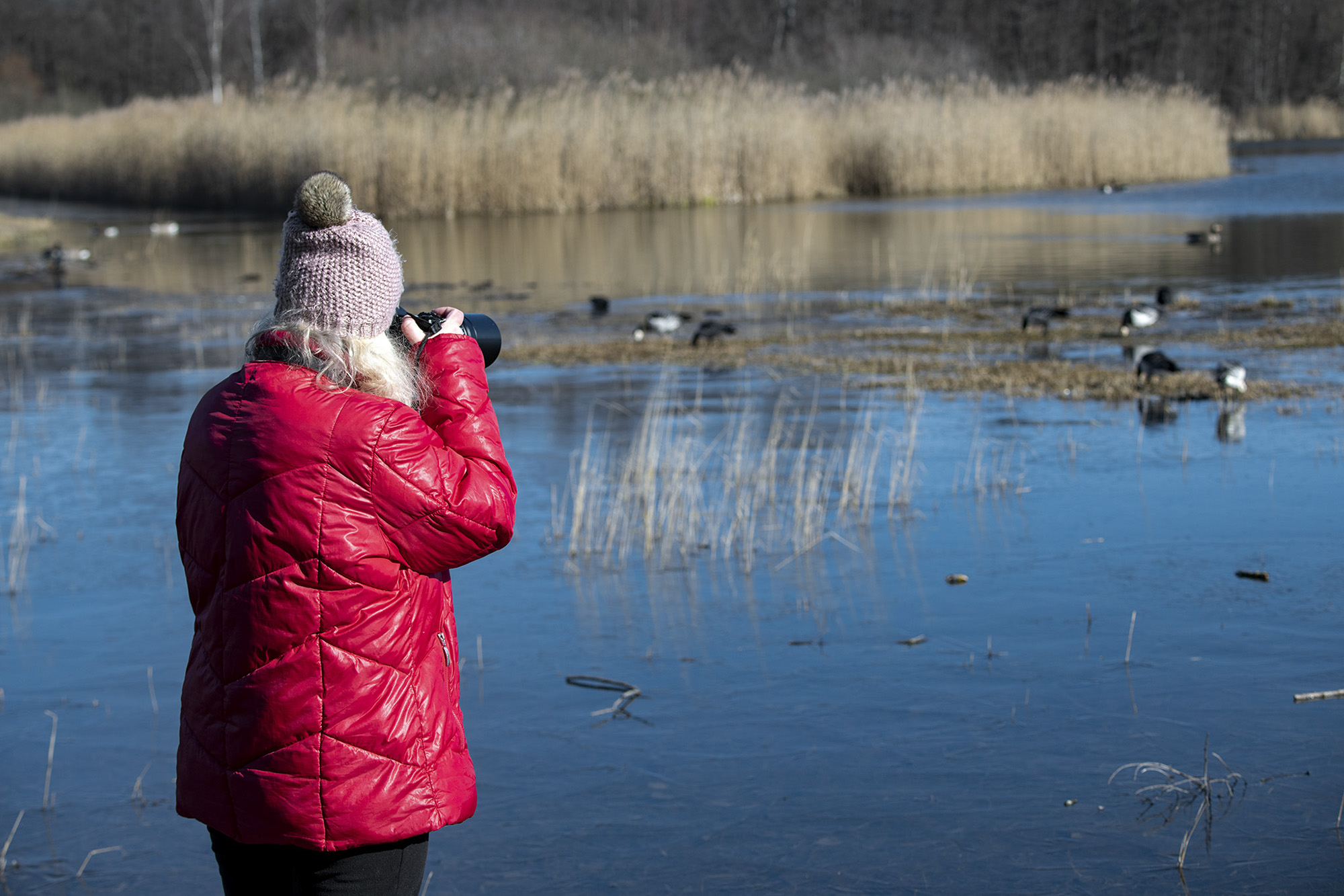 Fotograf med kamera står vid Solnasjön