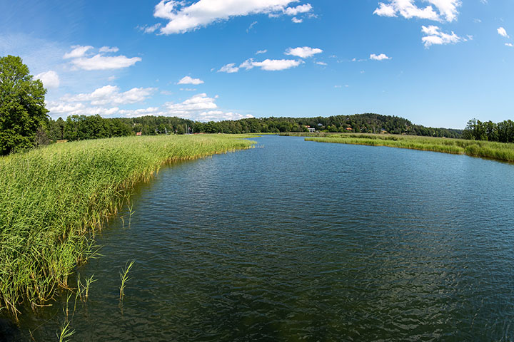 _DSC5535_Tyresö slott 2020 kopiera