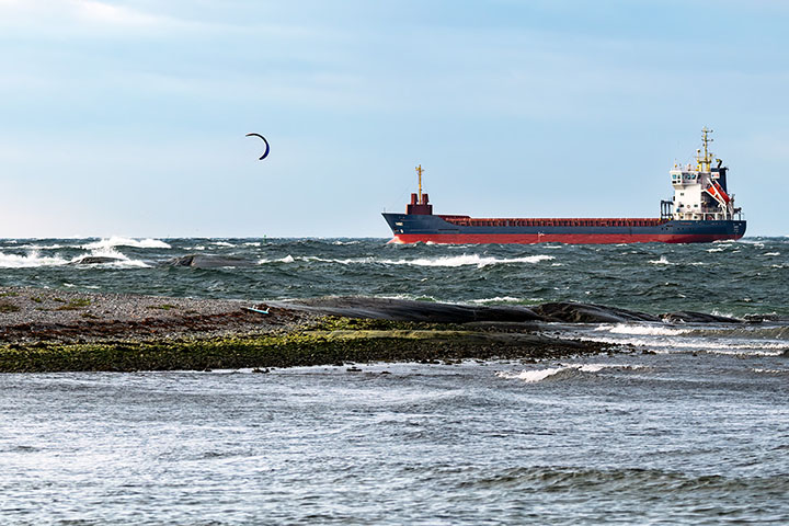 _DSC7368_Torö 2019 kopiera