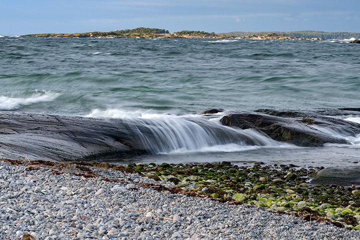 _DSC7493_Torö 2019 kopiera