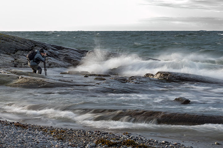 _DSC7504_Torö 2019- kopiera