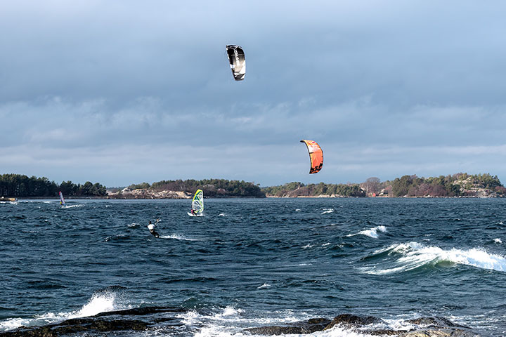 _DSC8071_Torö 2019 kopiera